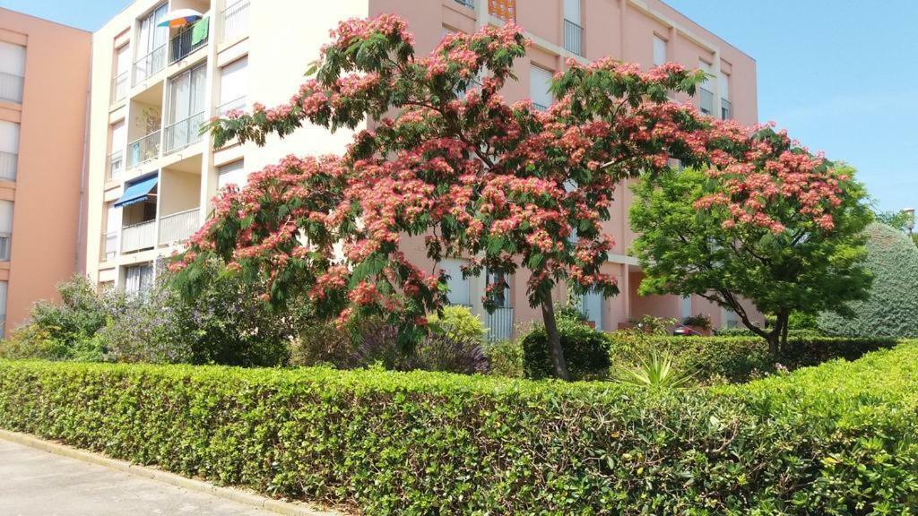 T3 Spacieux Et Lumineux A 5Min Du Port De Sanary - Fleur De Mai Apartment Exterior foto